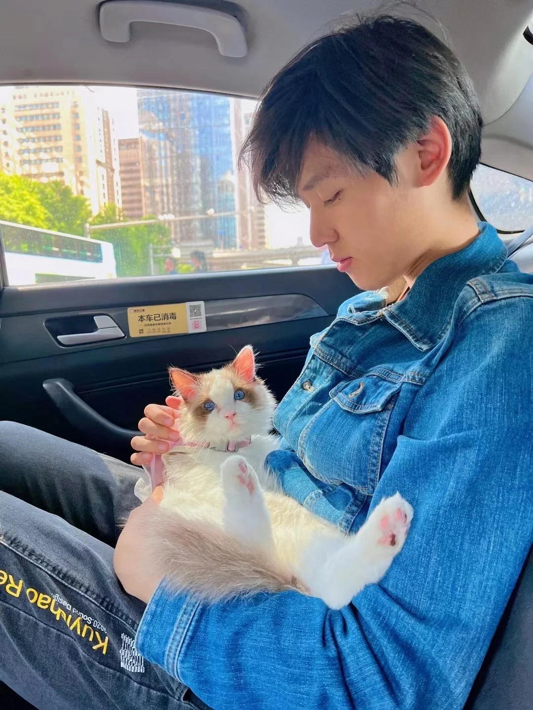 Kelun Wang holding a cat